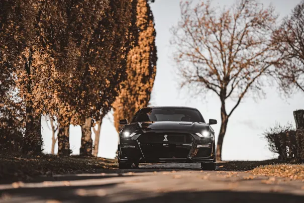 ФБЕТ Казино Android/iOS приложение